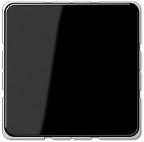 Заглушка без рамки Jung CD500 черный картинка